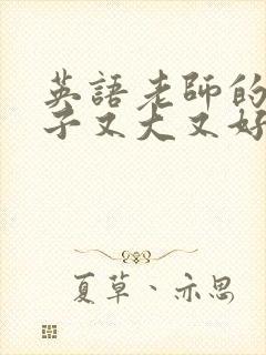 英语老师的小兔子又大又好吃