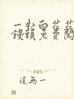 一对白花花的大馒头免费阅读