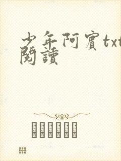 少年阿宾txt阅读