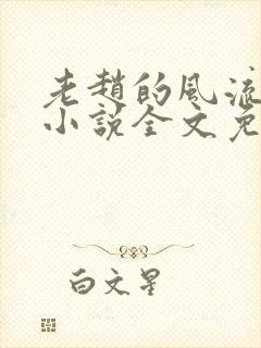 老赵的风流人生小说全文免费阅读