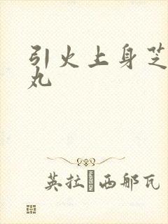 引火上身芝麻糖丸