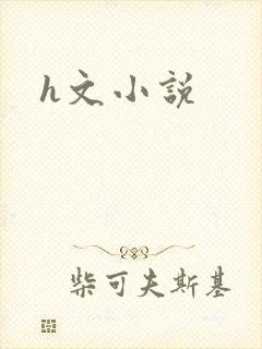 h文小说
