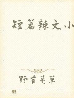 短篇辣文小说
