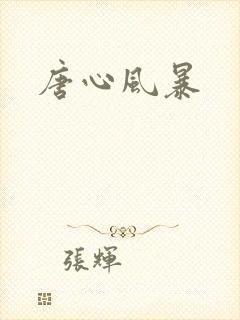 唐心风暴