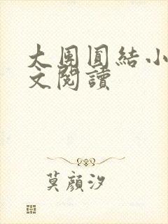 大团圆结小茹全文阅读