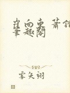 崔向东 萧错 笔趣阁