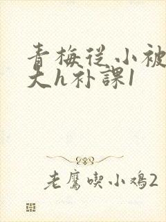 青梅从小被c到大h补课1