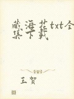 藏海花txt全集下载