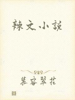 辣文小说