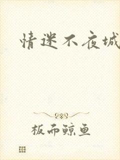 情迷不夜城