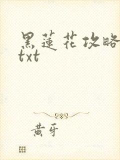 黑莲花攻略手册txt