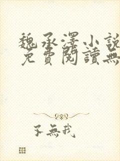 魏承泽小说全文免费阅读无弹窗笔趣