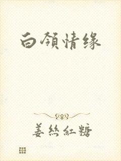 白领情缘