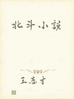 北斗小说