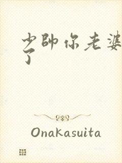 少帅你老婆又跑了