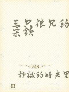 三只狼兄的宠妻宋钦