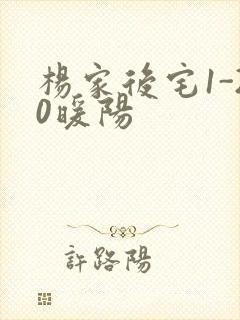 杨家后宅1-20暖阳