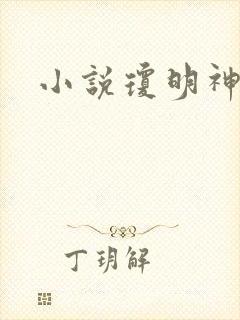 小说琼明神女录