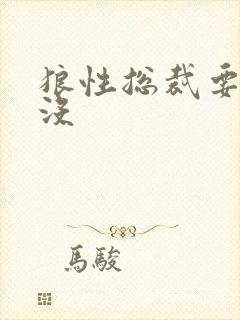狼性总裁要够了没
