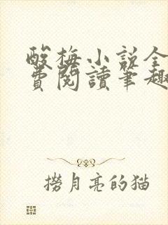 酸梅小说全文免费阅读笔趣阁