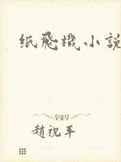 纸飞机小说