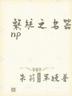 系统之名器攻略np