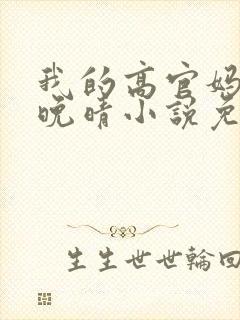 我的高官妈妈苏晚晴小说免费阅读