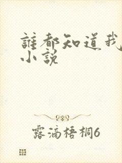 谁都知道我爱你小说