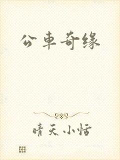 公车奇缘