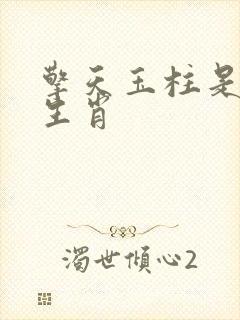 擎天玉柱是什么生肖