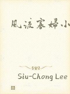 风流寡妇小说
