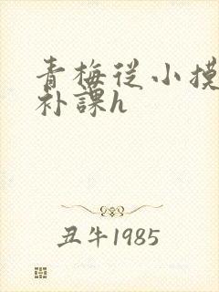 青梅从小摸到大补课h