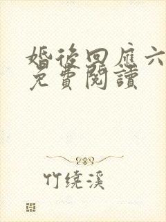 婚后回应六盲星免费阅读