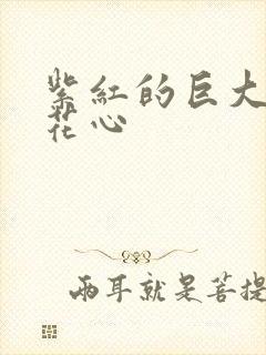 紫红的巨大顶开花心