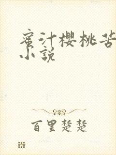 蜜汁樱桃苦咖啡小说