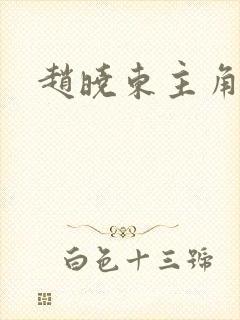 赵晓东主角小说