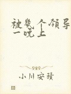 被几个领导玩弄一晚上