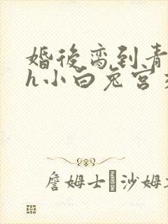 婚后脔到青梅哭h小白兔宫交h