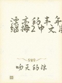 漂亮的丰年经的继拇2中文版