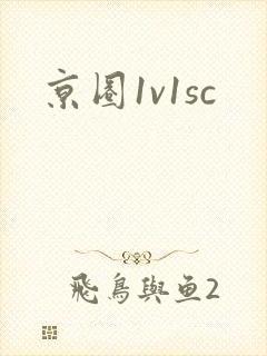 京圈1v1sc