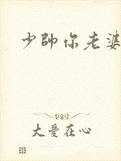 少帅你老婆