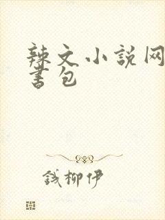 辣文小说网第二书包