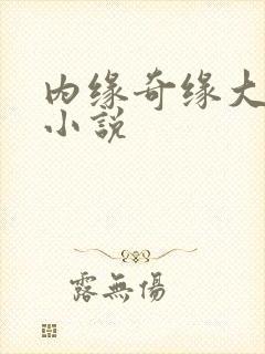 内缘奇缘大团圆小说