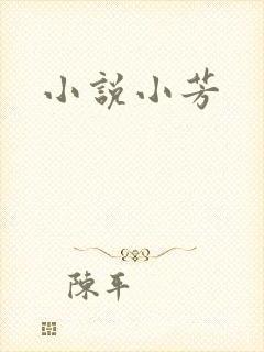 小说小芳