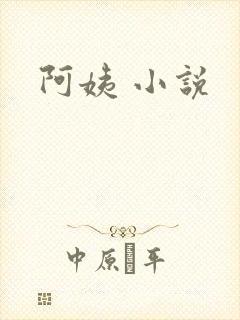 阿姨 小说