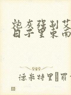 炮灰强制艾草的日子里东南枝小说