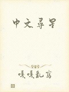 中文寻星