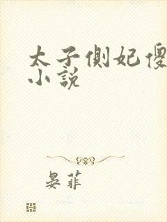 太子侧妃傻乎乎小说