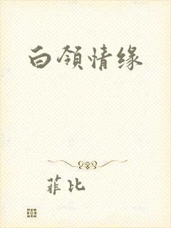 白领情缘