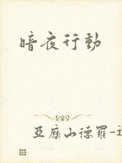 暗夜行动